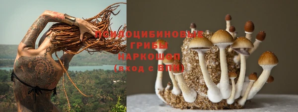 гидропоника Наволоки