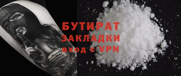 шишки Надым
