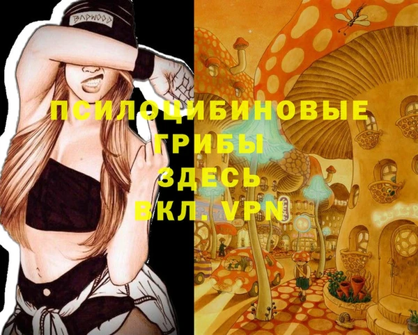 шишки Надым