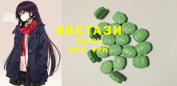 шишки Надым