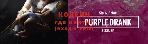 шишки Надым