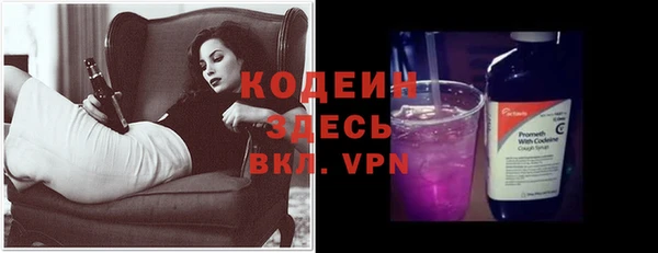 шишки Надым
