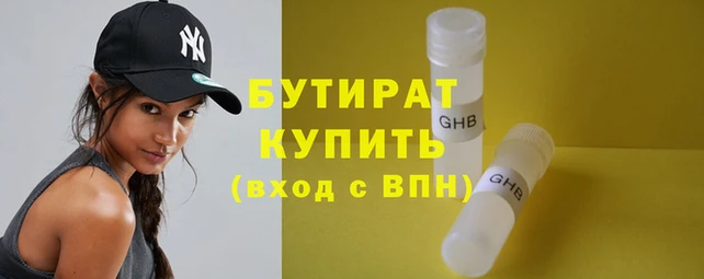 шишки Надым