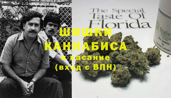 шишки Надым