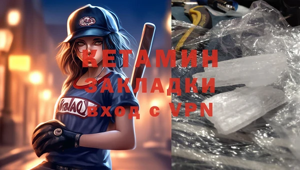 шишки Надым