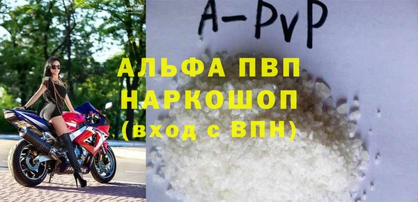 шишки Надым