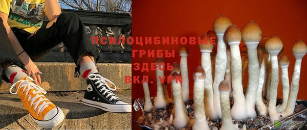 гидропоника Наволоки