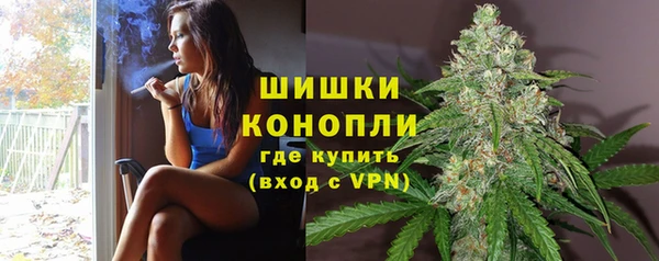 шишки Надым