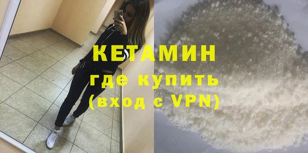 шишки Надым