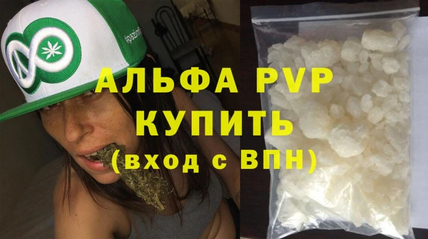 шишки Надым