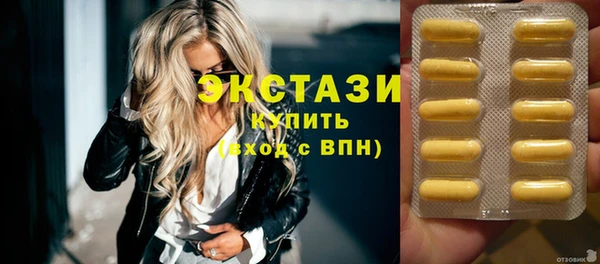 шишки Надым