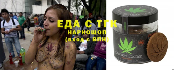 шишки Надым
